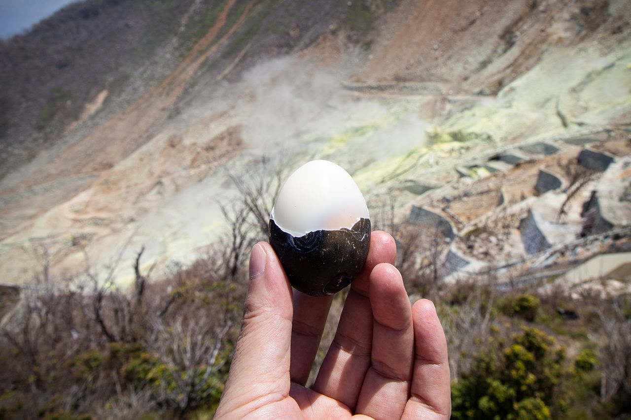 El huevo negro sigue siendo blanco dentro de la cáscara. ¡Y su yema es deliciosa!