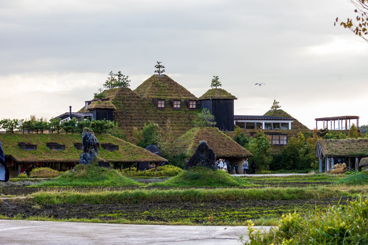 Los edificios, cubiertos de vegetación, se funden con la naturaleza.