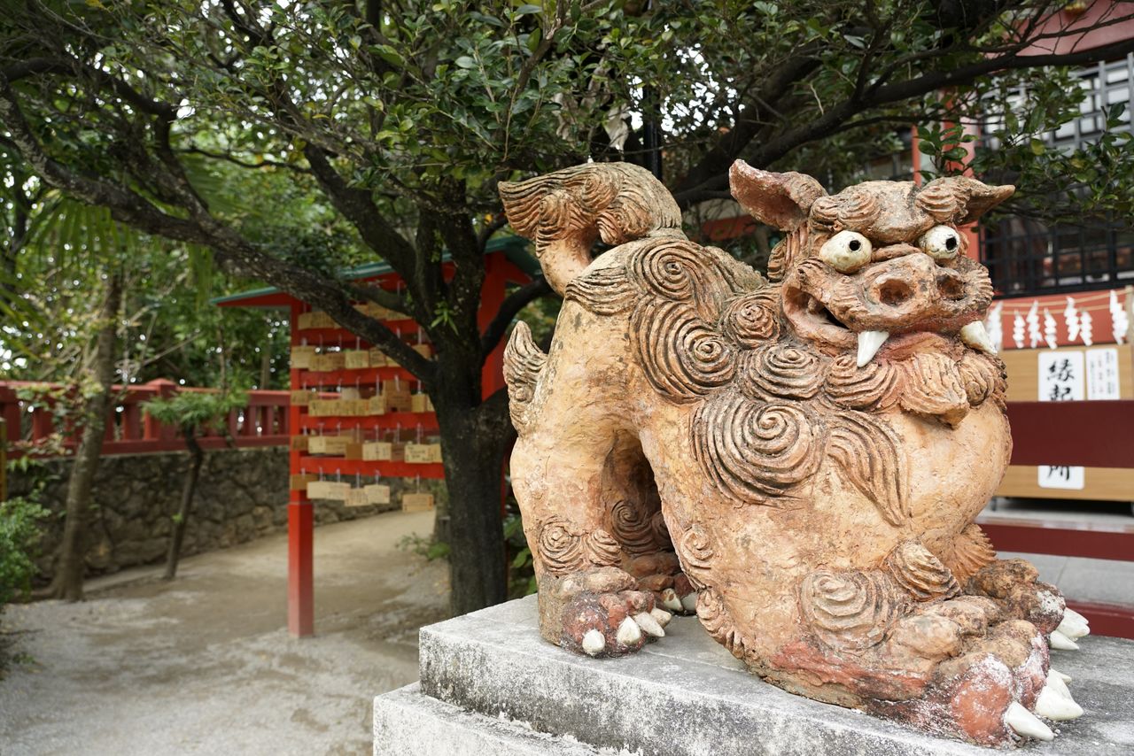 En la corte real de Ryūkyū había una gran devoción por el santuario de Naminoue. El rey en persona solía visitarlo cada Año Nuevo. (Fotografía: Ōsaka Hiroshi.)