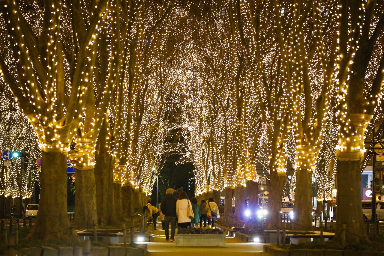 Sendai hikari no pageant ilumina los inviernos de Sendai desde 1986. (© Sentia)