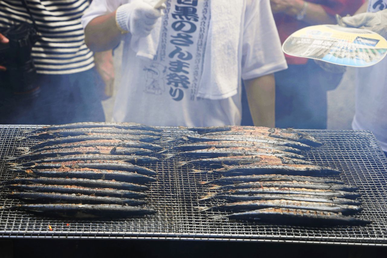 Edición de 2018 del Festival de la Paparda del Pacífico, que se celebra en Meguro (Tokio). La cita de 2020 se ha suspendido por la pandemia. Ojalá en 2021 Japón se haya recuperado, tanto del virus como del problema de la escasez de este pescado (PIXTA). 
