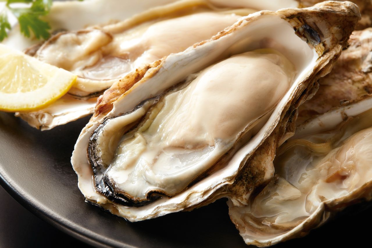 Las ostras se han abaratado en 2020 en comparación con 2019 gracias a que, en general, las capturas están siendo buenas en distintos puntos de Japón. (PIXTA)