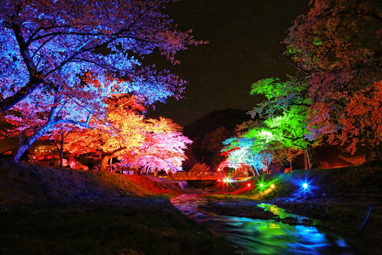 La colorida iluminación nocturna acapara la atención de los visitantes (imagen cortesía del responsable del Departamento de Industria, Comercio y Turismo de Inawashiro).