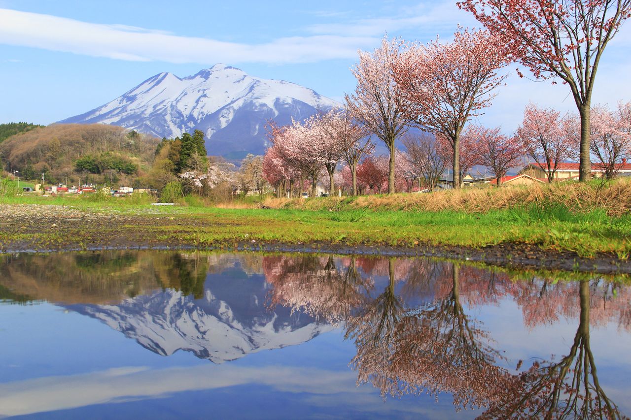 El monte Iwaki aún nevado y las hileras de árboles se reflejan en el agua y conforman una bella estampa (imagen cortesía de la Asociación de Turismo del monte Iwaki).