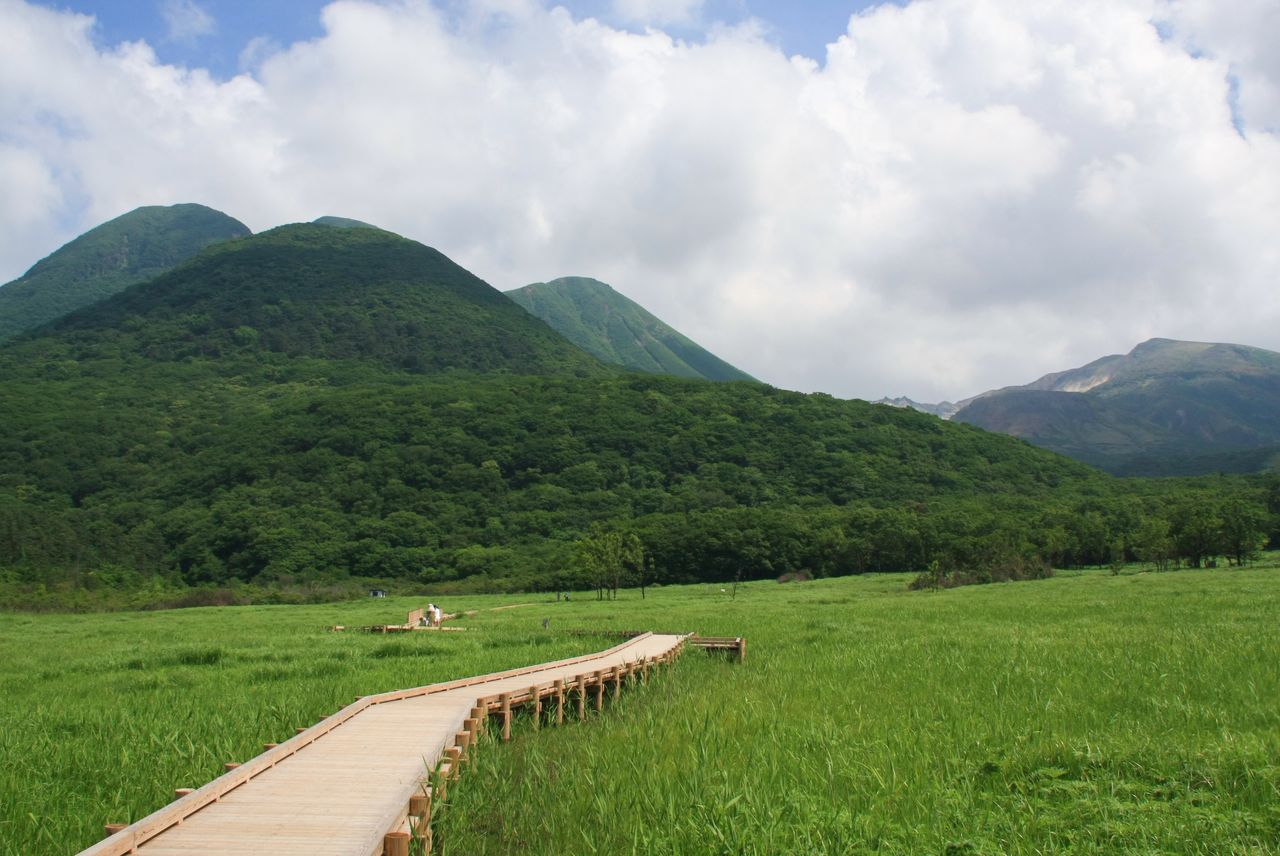 El humedal de Tadewara se encuentra en Chōjabaru, a mil metros de altura. En los prados llenos de musgo de tubera y masugaya hay un camino de madera. Fotografía: Organización para la Promoción del Turismo de Kyūshū.