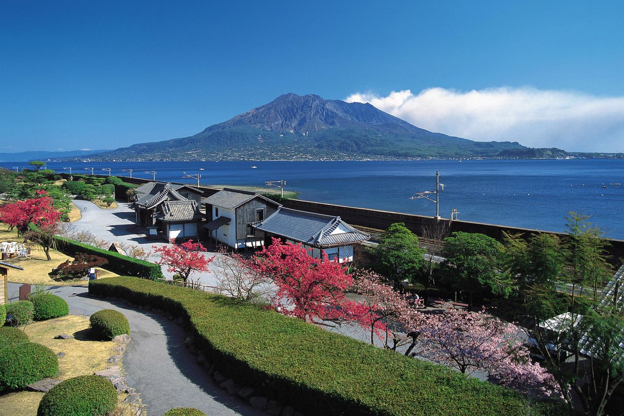 La villa de la familia Shimazu a principios de la primavera. Desde el jardín Sengan’en hay una vista majestuosa de Sakurajima. © K.P.V.B
