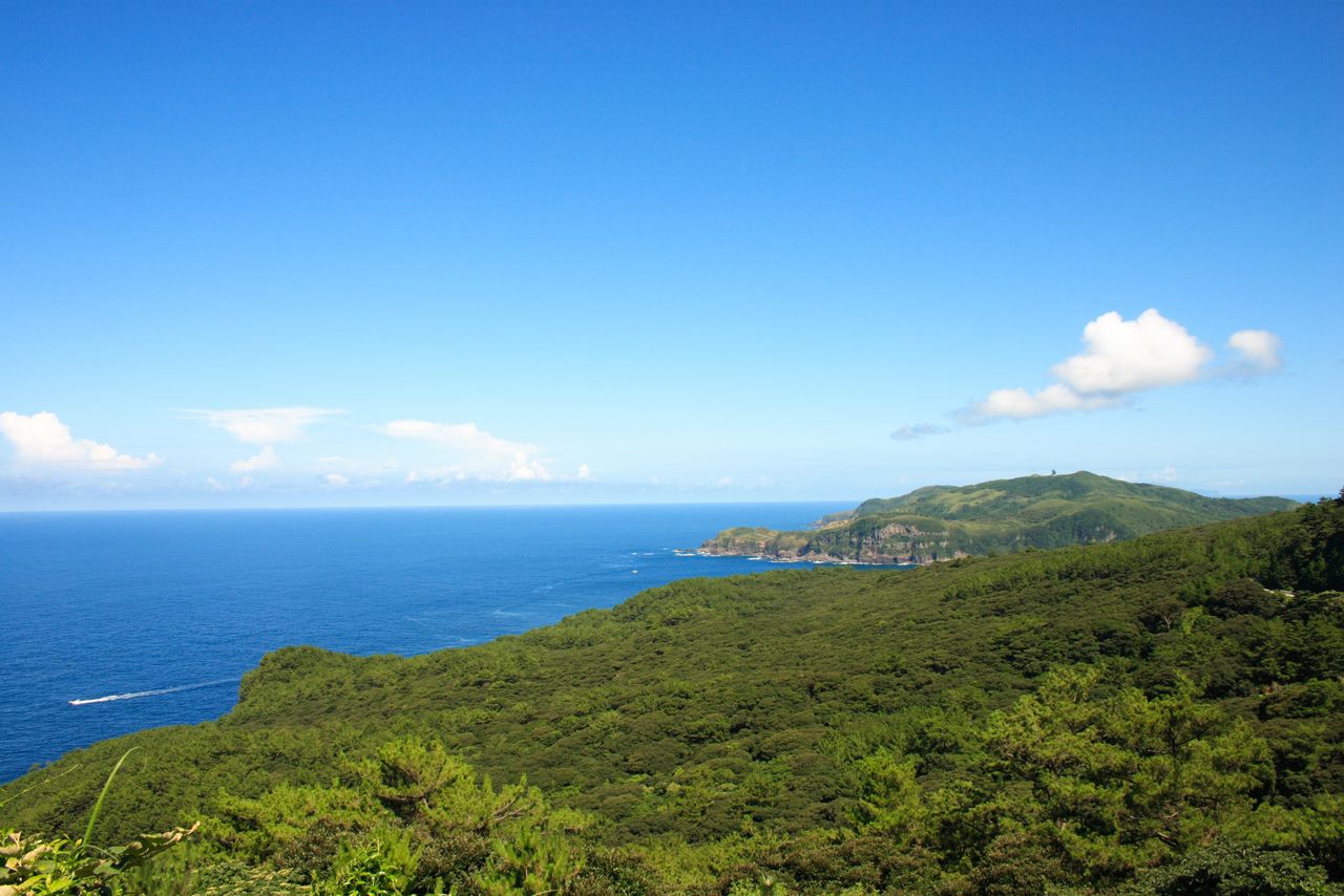 Desde la falda oeste del monte Furudake se puede observar el bosque laurifolio y, al fondo, el pico Banyagamine en la parte oeste de la isla. Fotografía: PIXTA.
