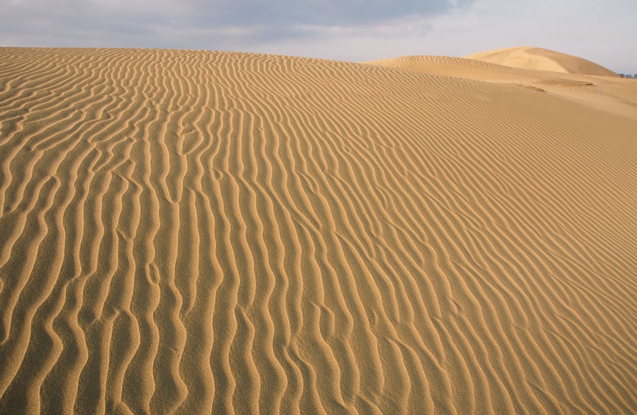 Los patrones de viento en la arena, conocidos como fūmon, cambian constantemente el aspecto y diseño de las dunas de Tottori. (Fotografía: Prefectura de Tottori.) 