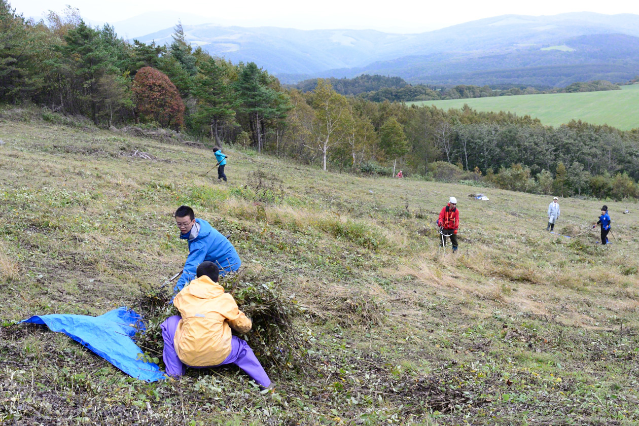 Siega de hierbas en una ladera para regenerar una área satoyama.