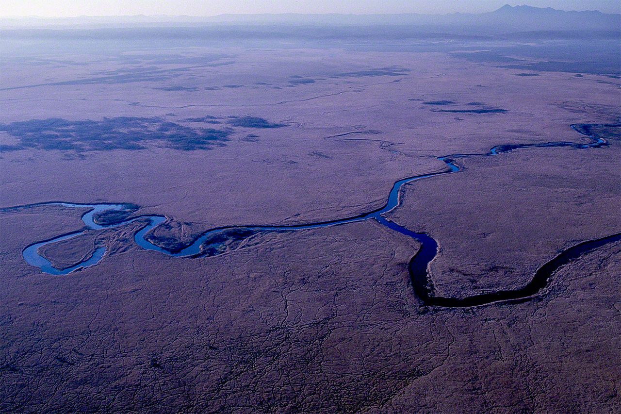 El r&iacute;o Kushiro serpenteando entre los humedales.