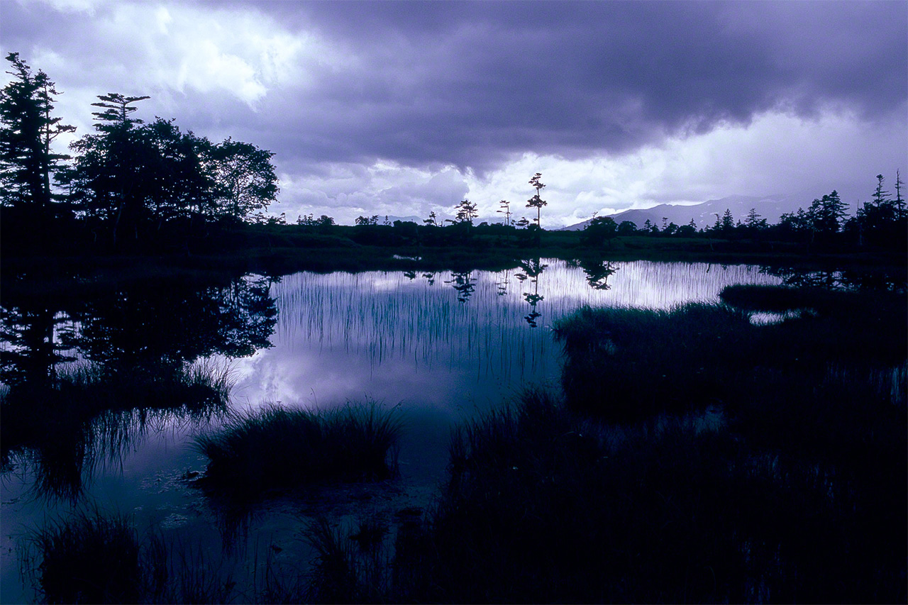 En los terrenos pantanosos de las alturas del monte Ashidake, en la sierra de Daisetsuzan, se observa lo que se podr&iacute;a bautizar como &ldquo;humedales celestiales&rdquo;.