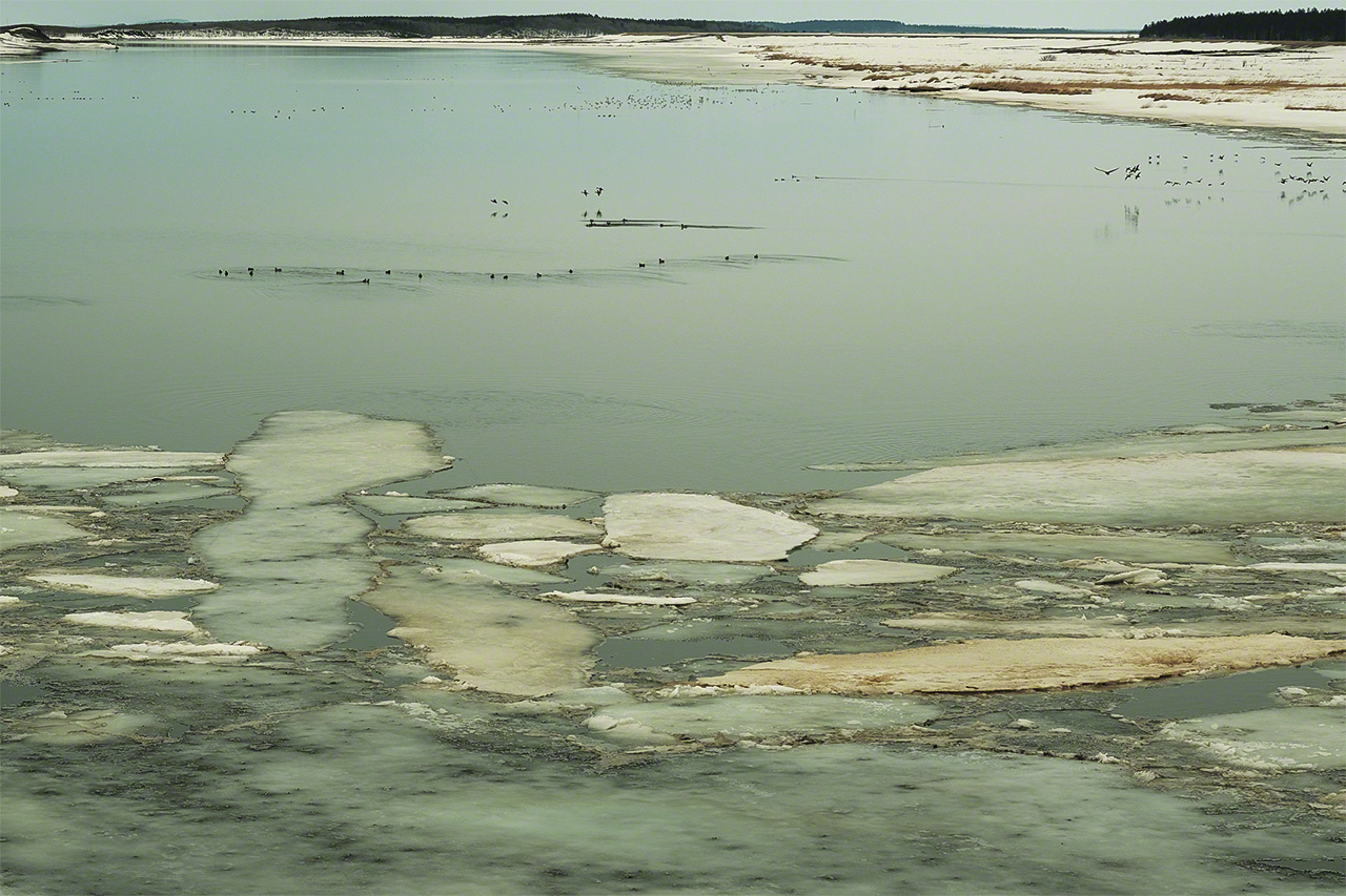 La desembocadura del r&iacute;o Teshio, turbia y amarillenta por la arena amarilla. Antes la arena solo llegaba hasta las monta&ntilde;as Hakkōda de Aomori, pero actualmente alcanza tambi&eacute;n Hokkaidō.