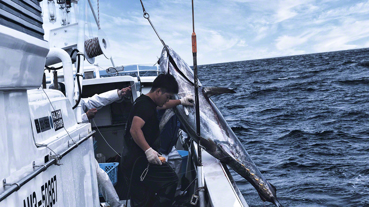 El mar abierto, sin obst&aacute;culos, es bastante luminoso incluso al amanecer, pero trabajar en un barco, con su balanceo, resulta extremadamente dif&iacute;cil.