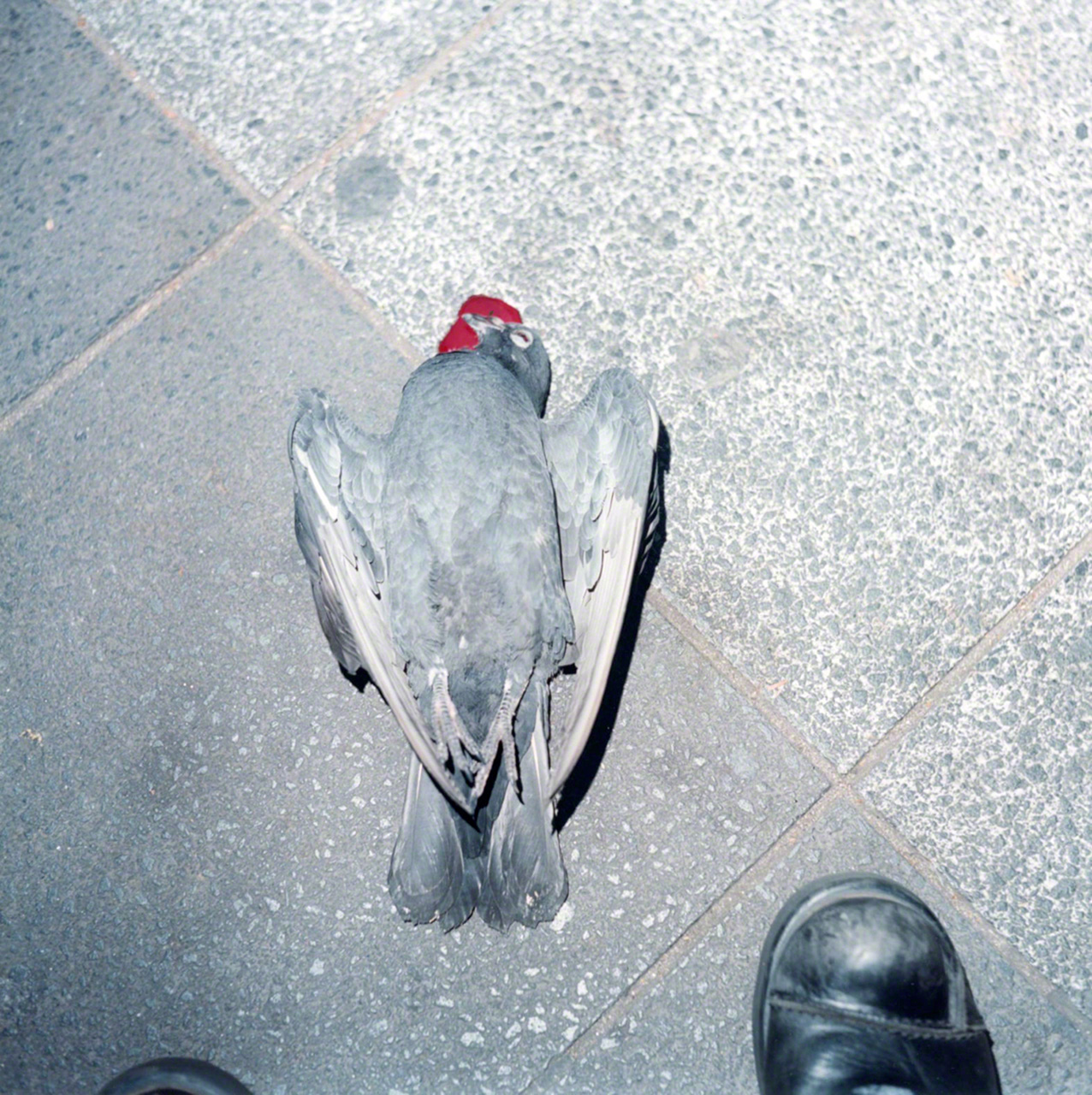 Sin t&iacute;tulo, de la serie de &ldquo;Utatane&rdquo; (2001).