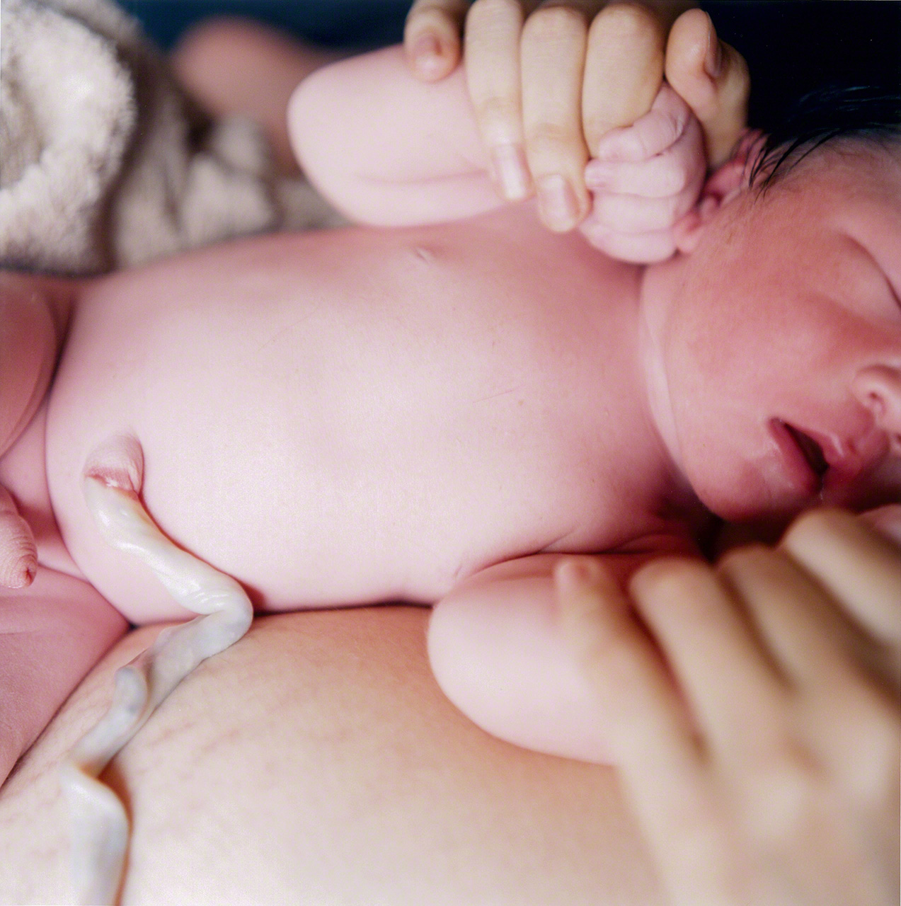 Sin t&iacute;tulo, de la serie de &ldquo;Aila&rdquo; (2004)