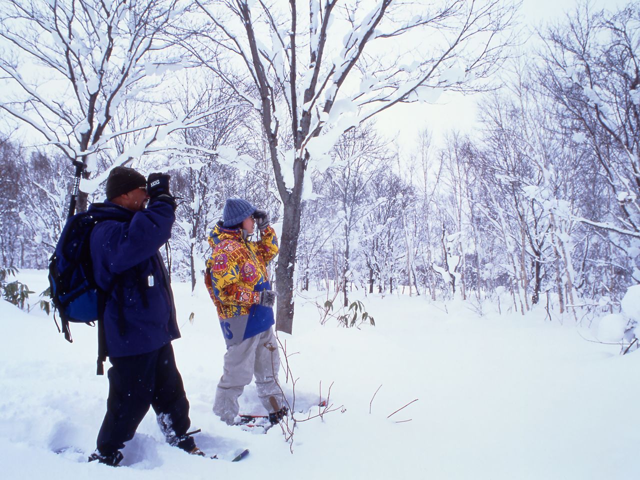 Caminata con raquetas de nieve por Niseko. Fotografía: Organismo de Promoción del Turismo de Hokkaidō.