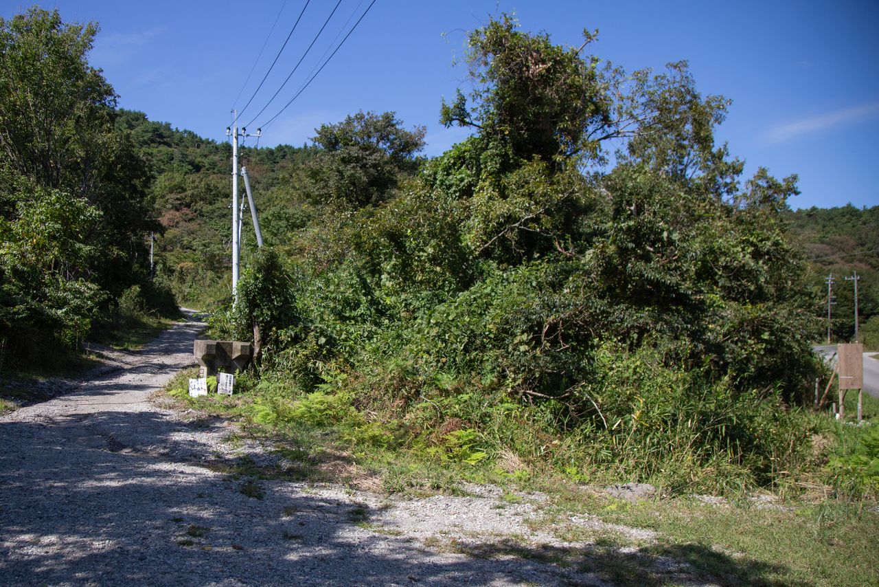 Terrenos adquiridos en una zona de montaña del municipio de Hiji (Ōita) por la Asociación Musulmana de Beppu con la intención de construir un cementerio. Se ubican a algo más de 15 minutos en automóvil desde el núcleo de población. (Fotografía tomada por el autor del artículo el 7 de octubre de 2020)