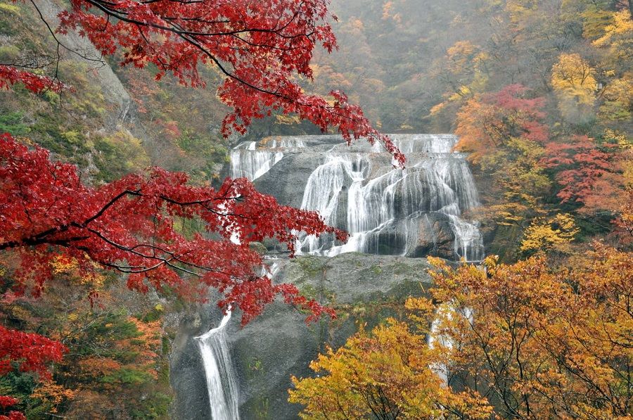 La cascada de Fukuroda en otoño.