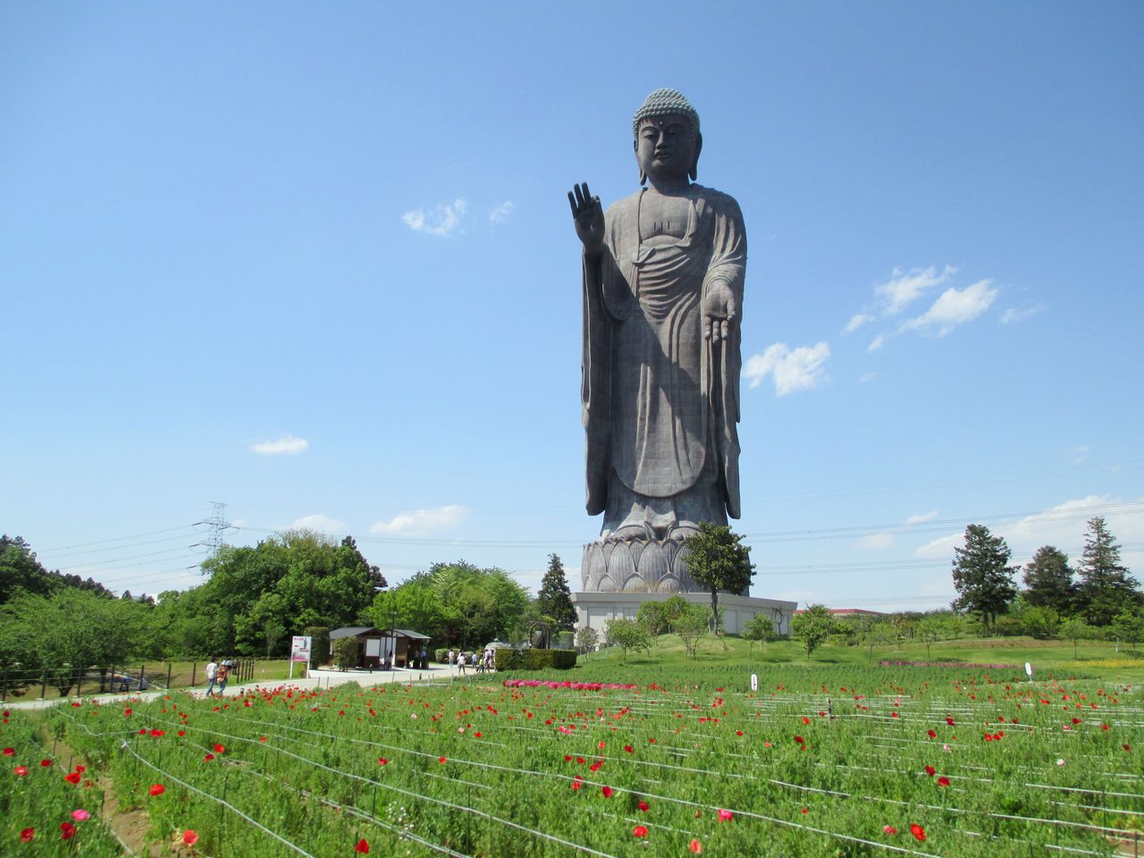 El Gran Buda de Ushiku. (PIXTA)