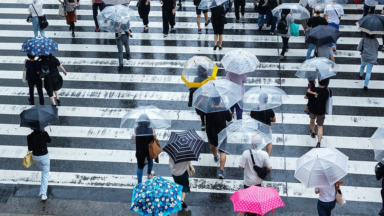 Uno de cada dos japoneses utiliza paraguas de plástico Nippon.com