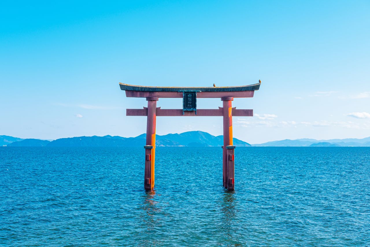 El gran torii del santuario Shirahige situado en medio del lago. (PIXTA)