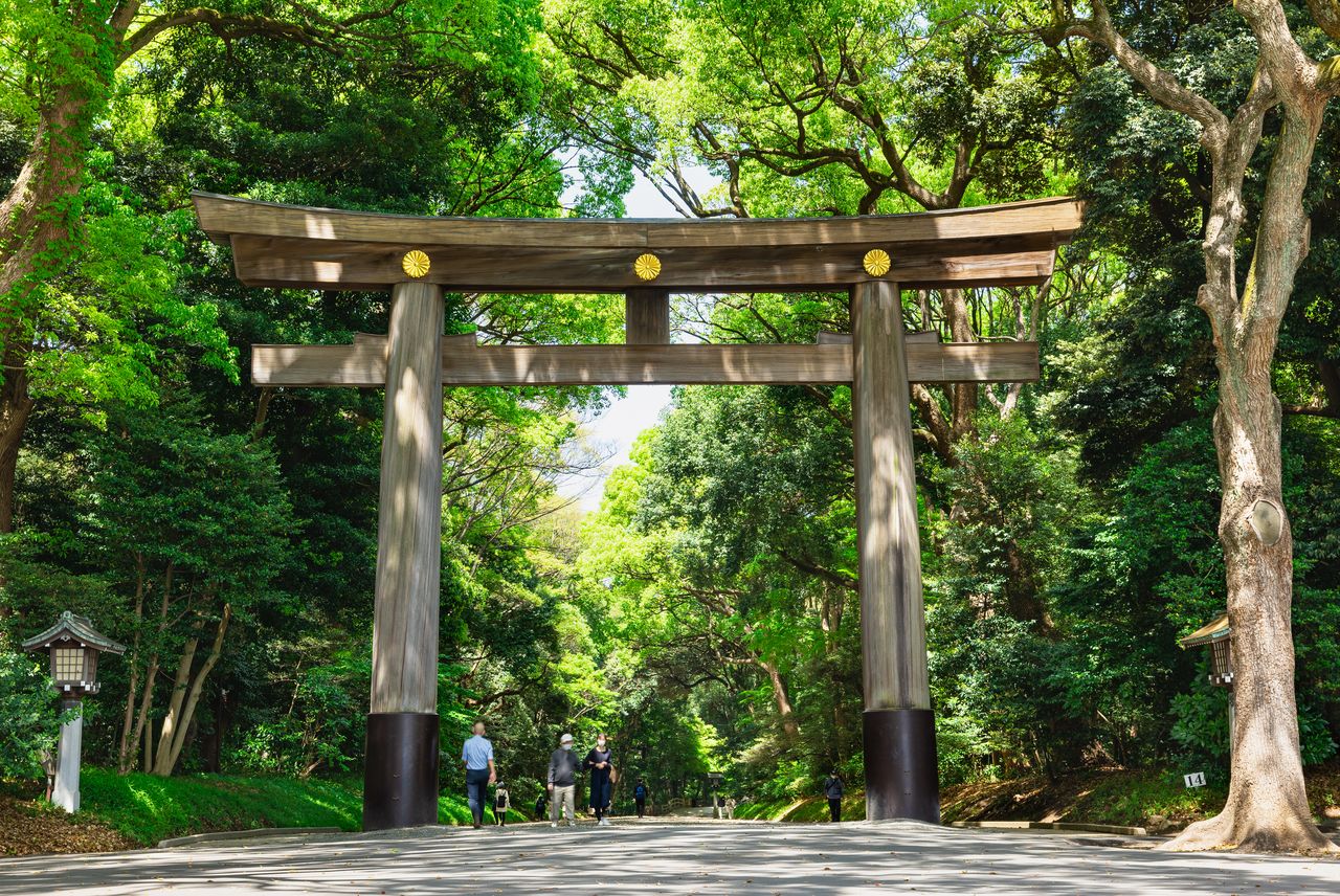 Camino sur de acceso al santuario Meiji. (PIXTA)