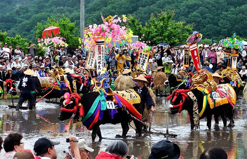 Imagen por cortesía de la prefectura de Hiroshima.