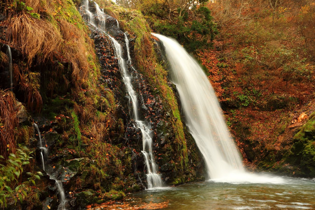 Los mejores paisajes otoñales para disfrutar dando un paseo | Nippon.com