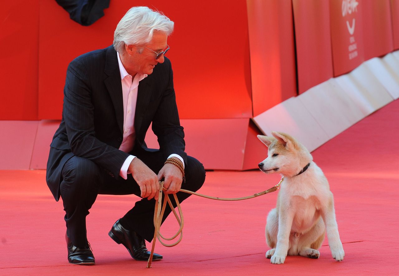 El actor Richard Gere junto al perro que dio vida a Hachi en el remake de Hachikō monogatari, con motivo de su proyección en el Festival Internacional de Cine de Roma (16 de octubre de 2009; imagen cortesía de AFP Photo / Andres Solaro; AFP-Jiji Press)