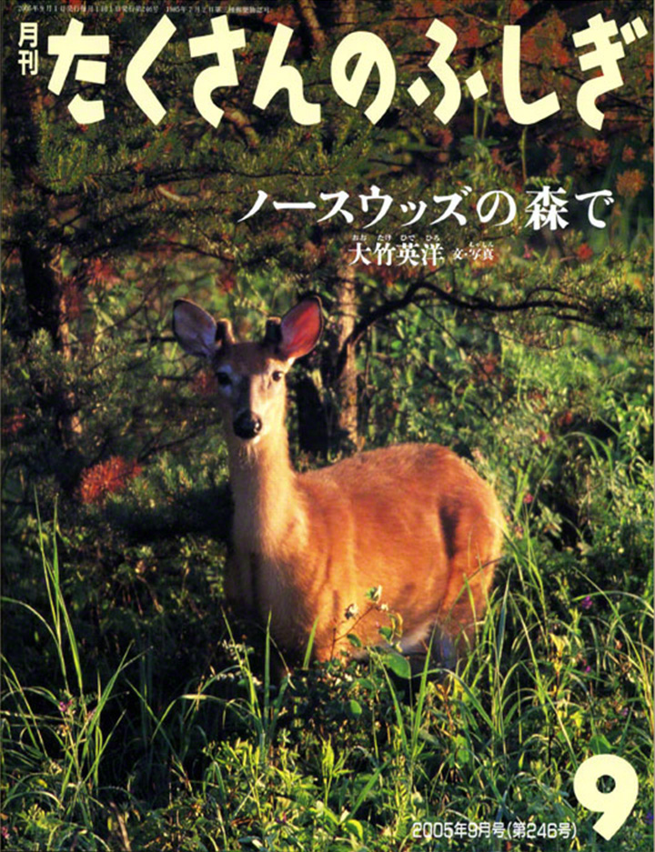 Nōsuuzzu no mori de, el número de septiembre de 2005 de la revista Takusan no fushigi (Fukuikan Shoten) – El libro está ahora disponible en formato de tapa dura.