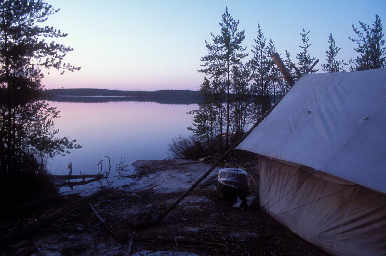 Al amanecer los p&aacute;jaros comienzan a cantar. (Imagen de 2004)
