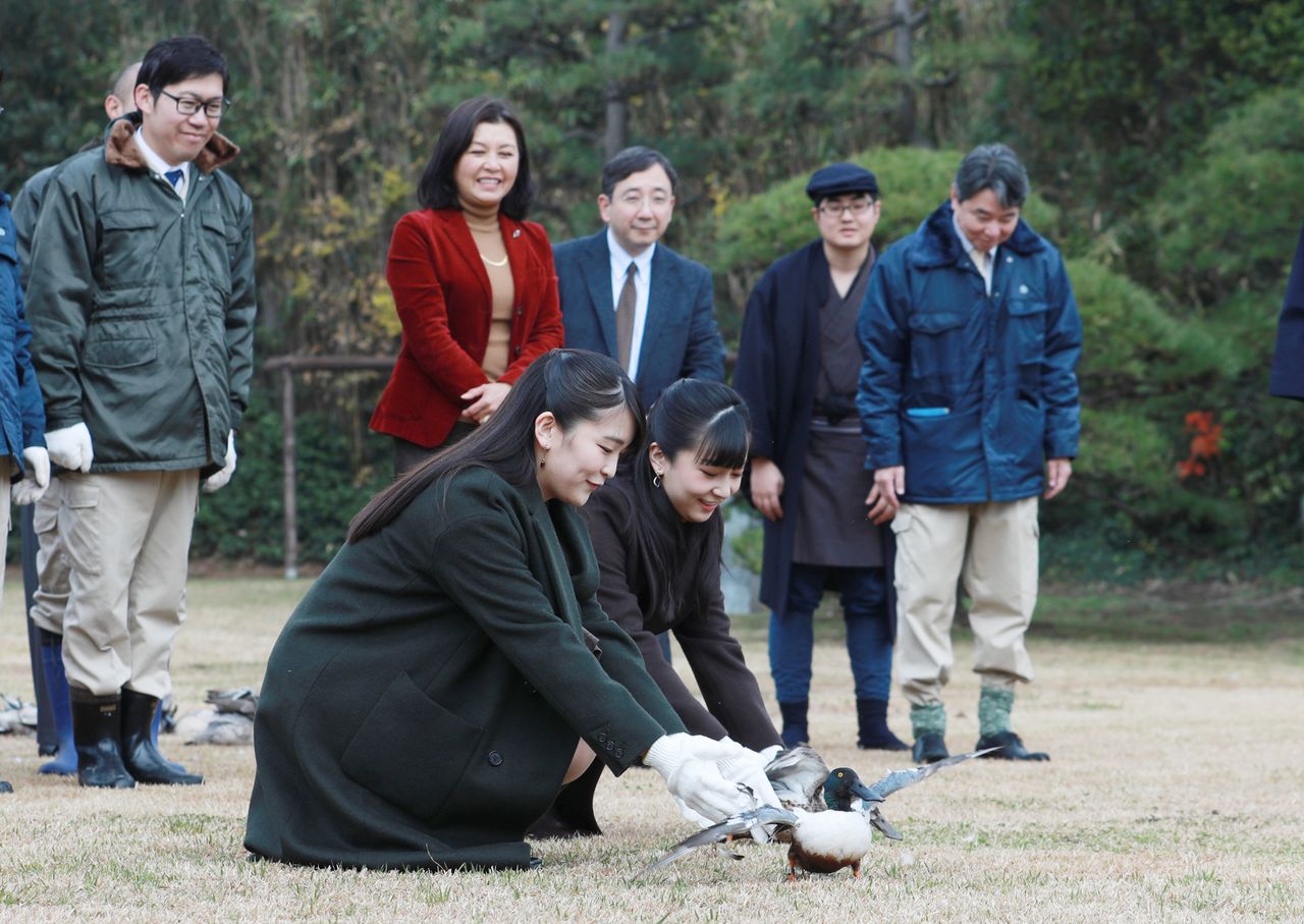 Las princesas de Akishino, Mako y Kako, liberan patos con ocasión de la visita de los embajadores a la Reserva Imperial de Patos Salvajes de Niihama (Ichikawa, Chiba), el 17 de diciembre de 2019. (Jiji Press)