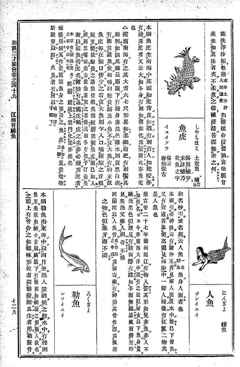 Artículo sobre los ningyo en el libro Wakan sansai zue, enciclopedia ilustrada del periodo Edo. (Colección digital de la Biblioteca Nacional de la Dieta)