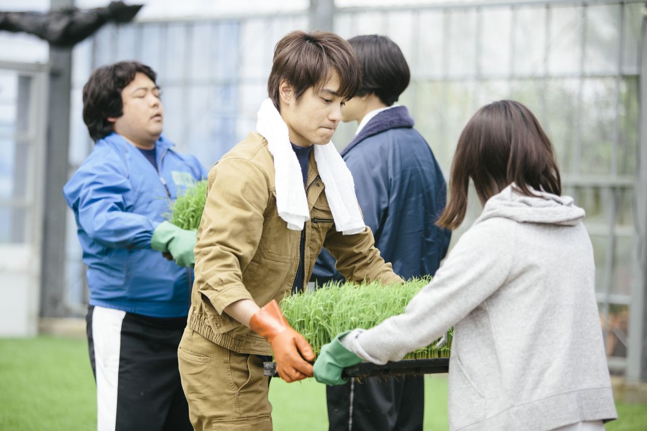 La historia está ambientada en una zona de arrozales de Toyama. Junpei (Nakamura Aoi) un veterano de la institución, enseña a sus nuevos compañeros cómo cultivar © Comité de Producción de Momi no ie.