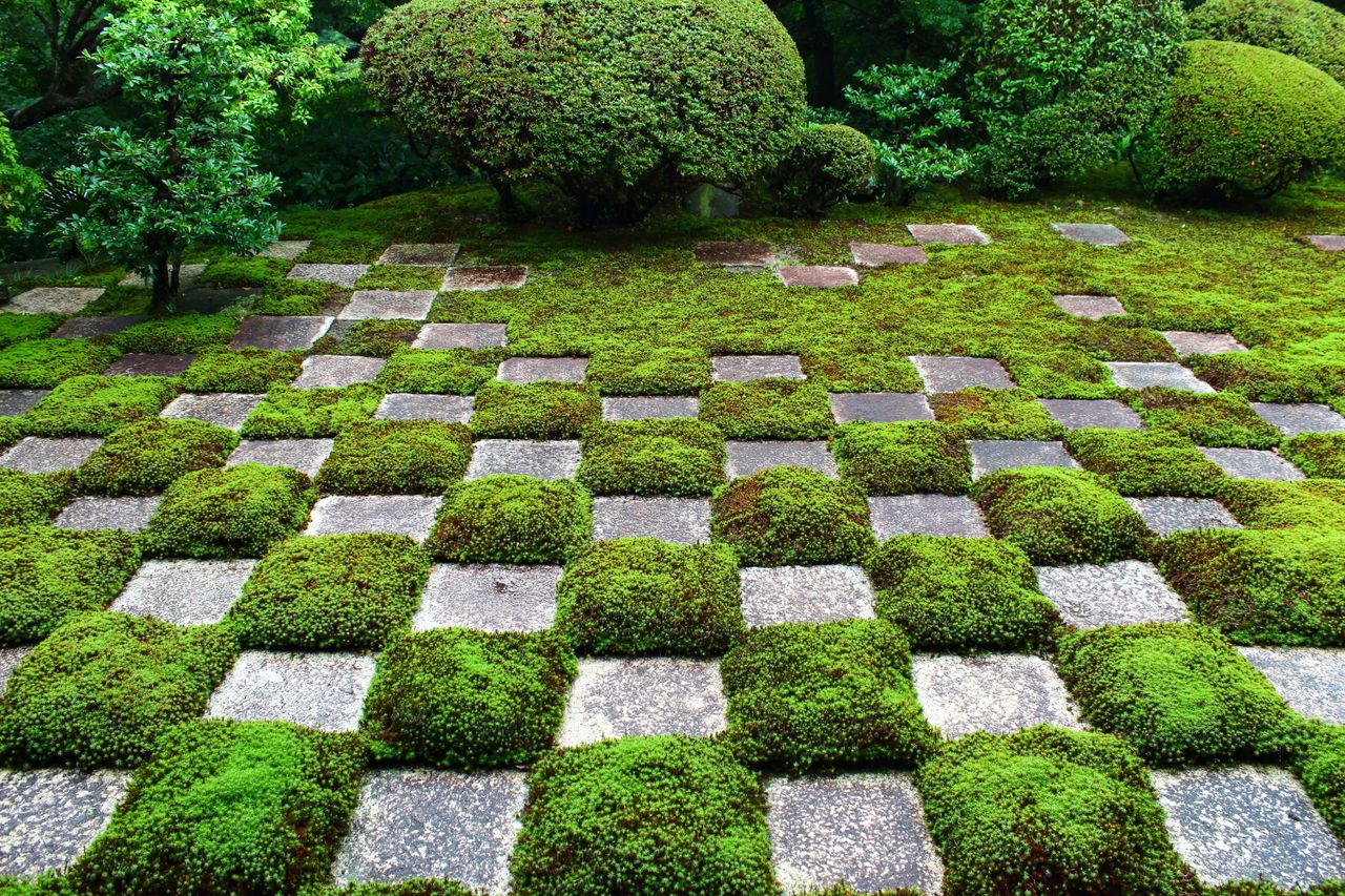 Jardín del templo Tōfuku (Kioto). Las piedras y el musgo evocan, de forma impresionante, los escaques de un tablero de damas o ajedrez. Se trata, pues, de un jardín del tipo estampado. 