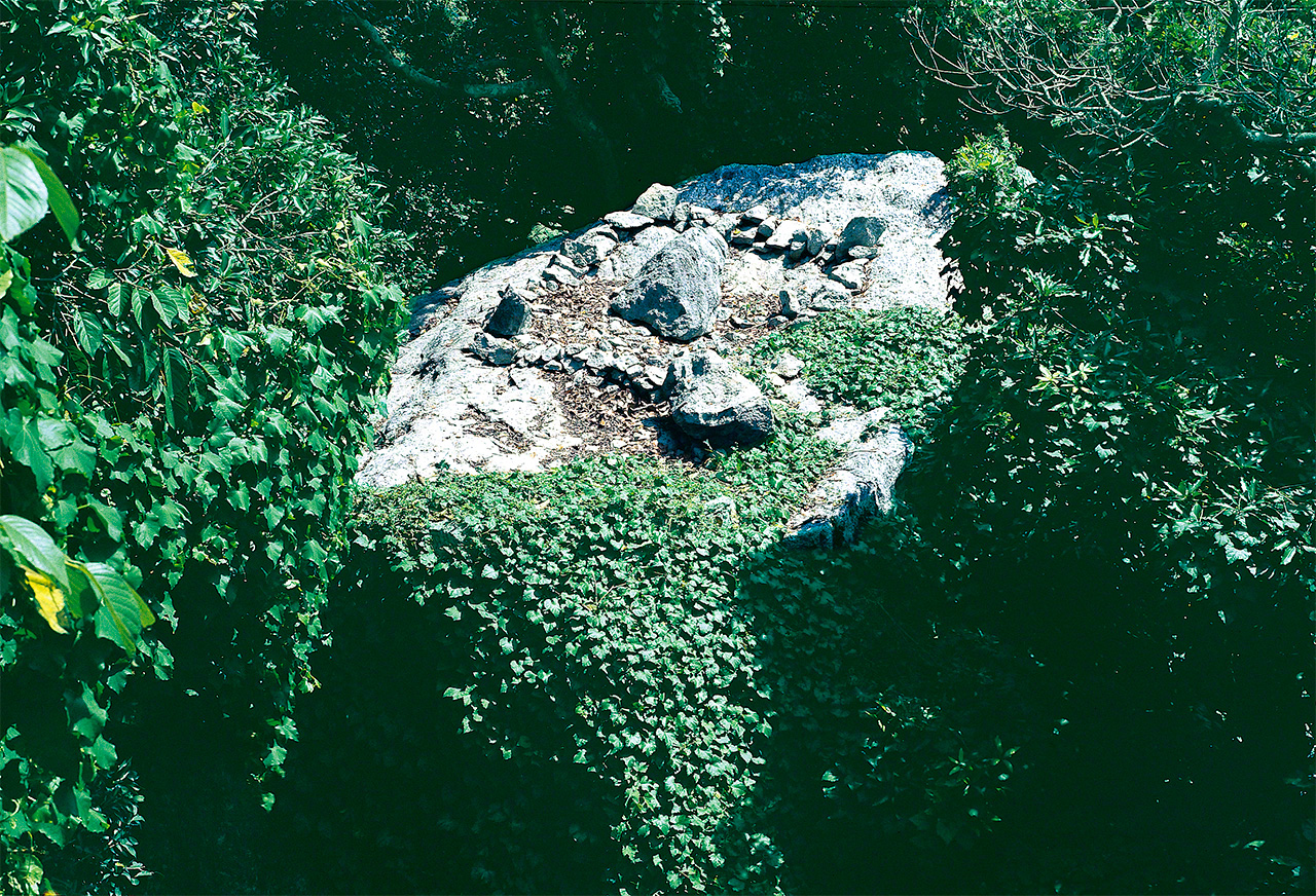 Ruinas del Sitio No. 21. Sobre la gran roca se hallaban colocadas muchas ofrendas, rodeadas de piedras.