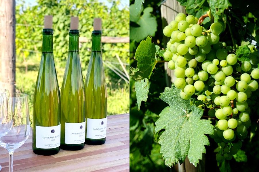 A la izquierda, el Kurisawa Blanc 2020, producto estrella del viñedo Nakazawa. A la derecha, racimos de las vides que producen su sabor claro. (Fotografía del autor)