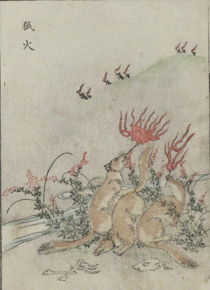 El “fuego de los zorros” como aparece en Kaibutsu ehon. (Ilustraciones de monstruos – Centro Internacional de Investigación de Estudios Japoneses)