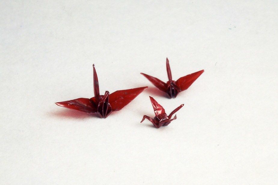 Grullas de origami de la niña Sasaki Sadako, hechas con los envoltorios de papel de sus medicinas. Fueron donadas al museo por Umeda Yoriko. 