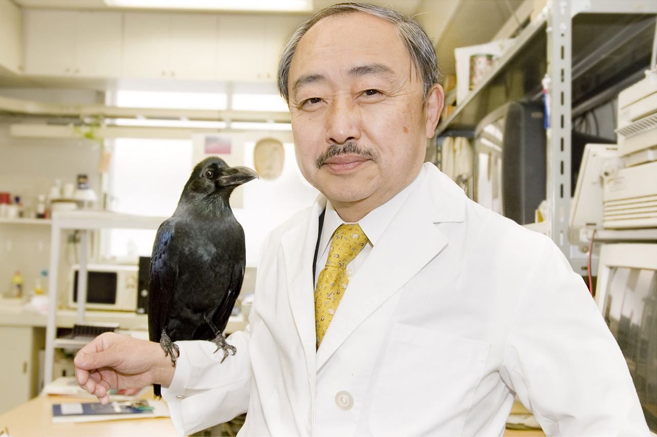 Watanabe con un cuervo que le tenía mucha confianza. (Imagen cedida por Watanabe Shigeru)