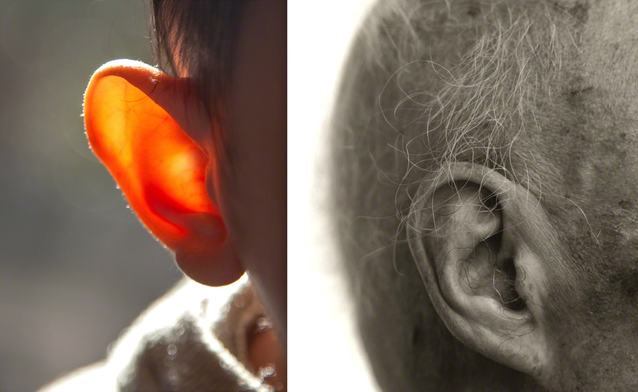 La oreja de un niño de un año (izquierda) y la de un anciano de cien. Dicen que el oído es el sentido que conservamos hasta el último momento de la vida.