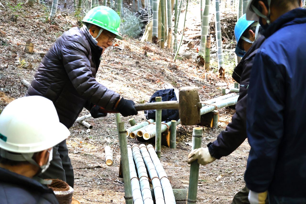 Coordinándose para clavar las estacas. (Febrero del 2025)