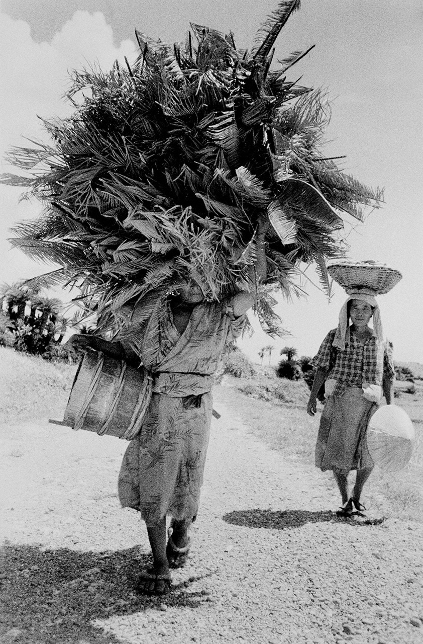 &ldquo;Transporte sobre la cabeza&rdquo;. La pr&aacute;ctica de transportar cestas y otras cargas sobre la cabeza era muy habitual en las islas del sur. Fotografiada en la isla de Okinoerabu, la mujer de la izquierda lleva hojas de palma de sag&uacute; para combustible. (Fotograf&iacute;a de 1956)