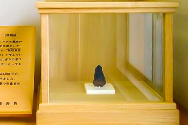 Un antiguo onigiri desenterrado en las ruinas de Sugitani Chanobatake. (© Nakamura Yūsuke)