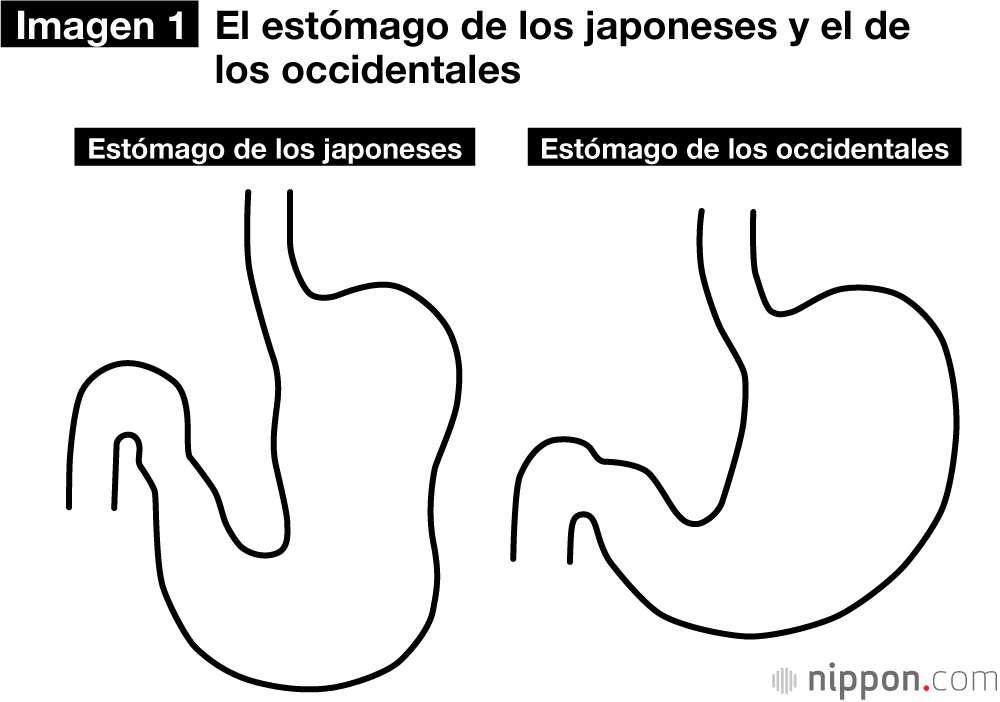 El estómago de los japoneses está adaptado al consumo de cereales.