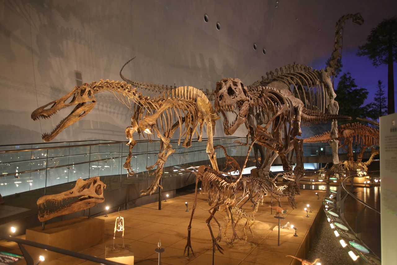 El ala de exhibición “El mundo de los dinosaurios”, en el primer piso. (Fotografía cedida por el Museo de Dinosaurios de la Prefectura de Fukui)