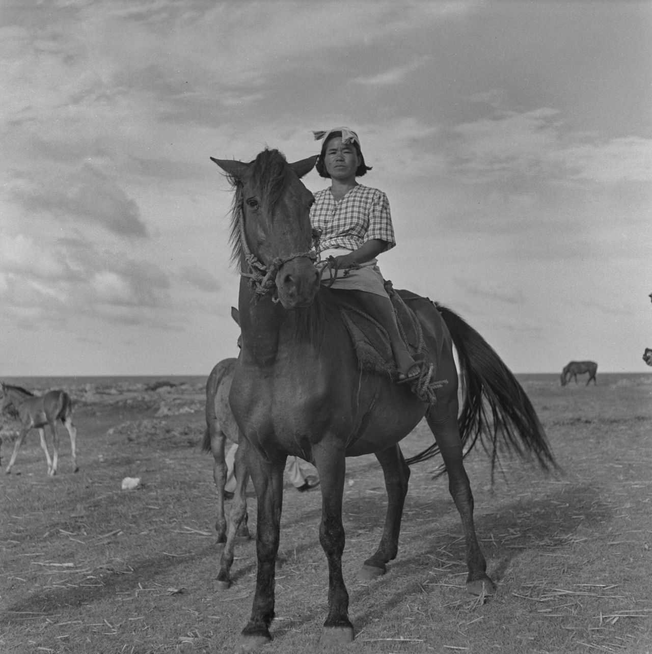 La isla de Kikai hace 70 años. Todavía no había automóviles, solo caballos.