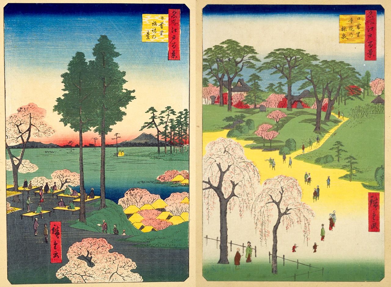 (Izquierda) Los cerezos de Seiun-ji en Meisho Edo hyakkei: Nippori Suwanodai (Cien famosas vistas de Edo: Suwanodai en Nippori). En Nippori jiin no hayashi (Los bosques de los templos de Nippori) aparece una escena de contemplación de flores en Shushō-in. Ambas obras son de Utagawa Hiroshige. (Colección de la Biblioteca Nacional de la Dieta)