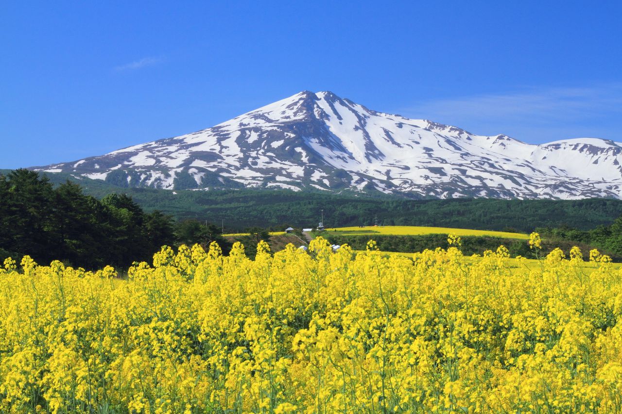 El monte Chōkai en primavera (Photolibrary).