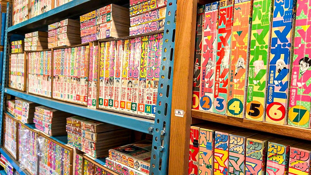 La Shōjo Manga-kan, un centro privado situado en Akiruno, Tokio, conserva 60.000 revistas de manga y otros materiales. Abre al público los sábados por la tarde.